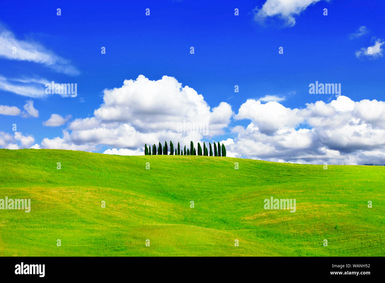 Landschaft der Toskana, Val d'Orcia, mit Blick auf das Tal und Bäumen. Italien. Stockfoto