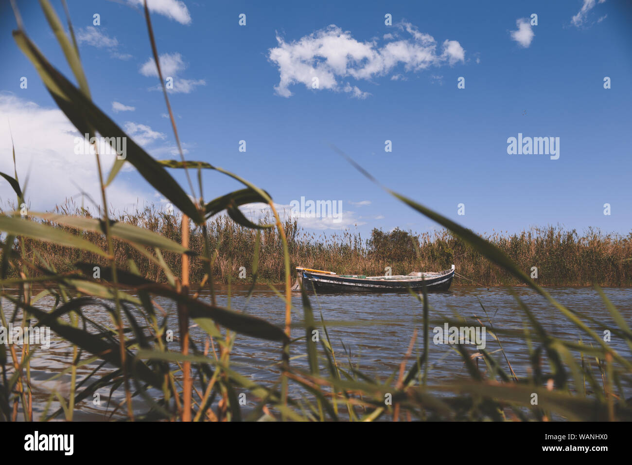 Boot auf Albufera dock zwischen dem Gras in Valencia Spanien El Palmar Stockfoto