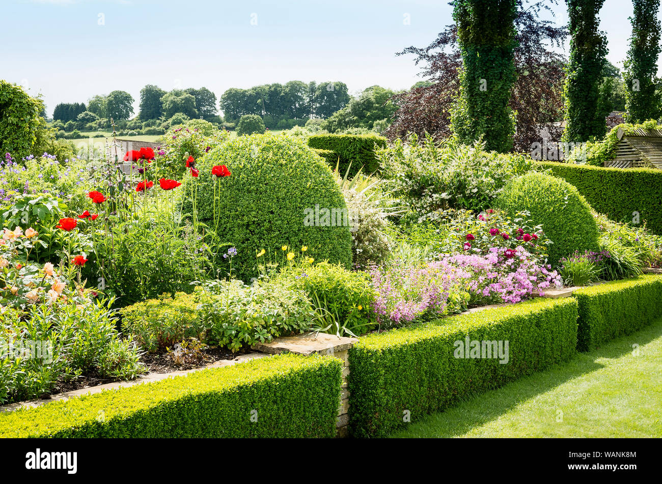 Gemischte berbaceous Grenze in einem Englischen Garten im Juni mit Box hedging und Rasen in einem Cotswold Landschaft Stockfoto