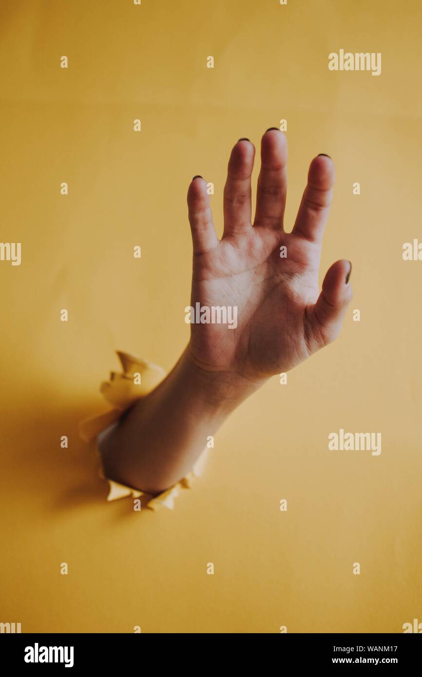 Vertikale Aufnahme der Handfläche einer Person, die durch ein bricht Gelbe Papierwand Stockfoto