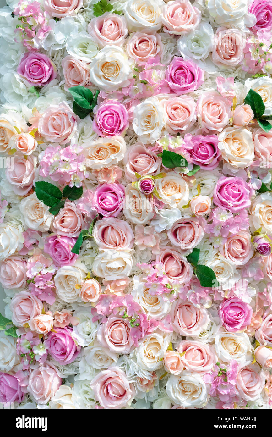 Kunstseide Rosen Muster Stockfoto