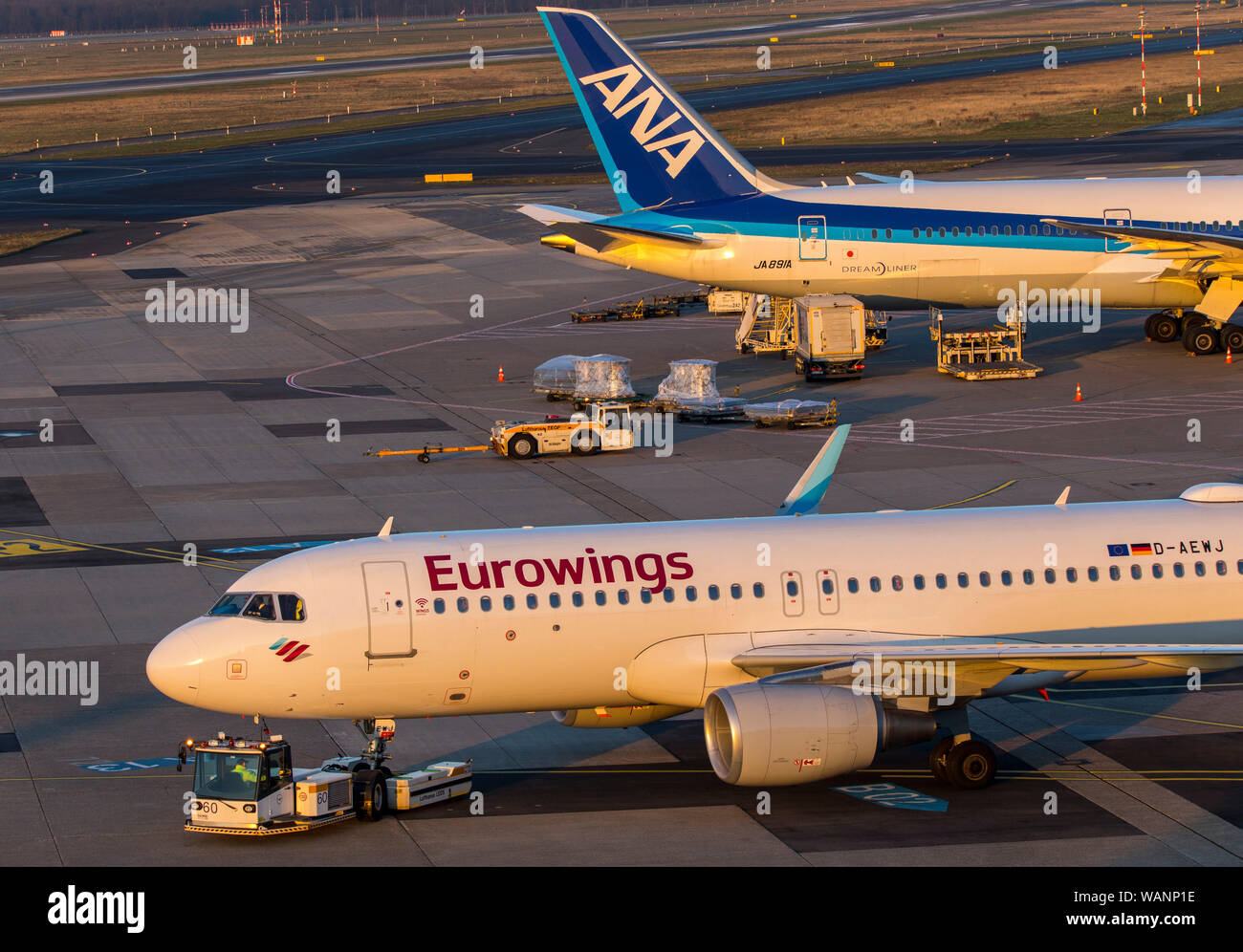 Der Flughafen Düsseldorf International, Eurowings und ANA Flugzeuge Stockfoto