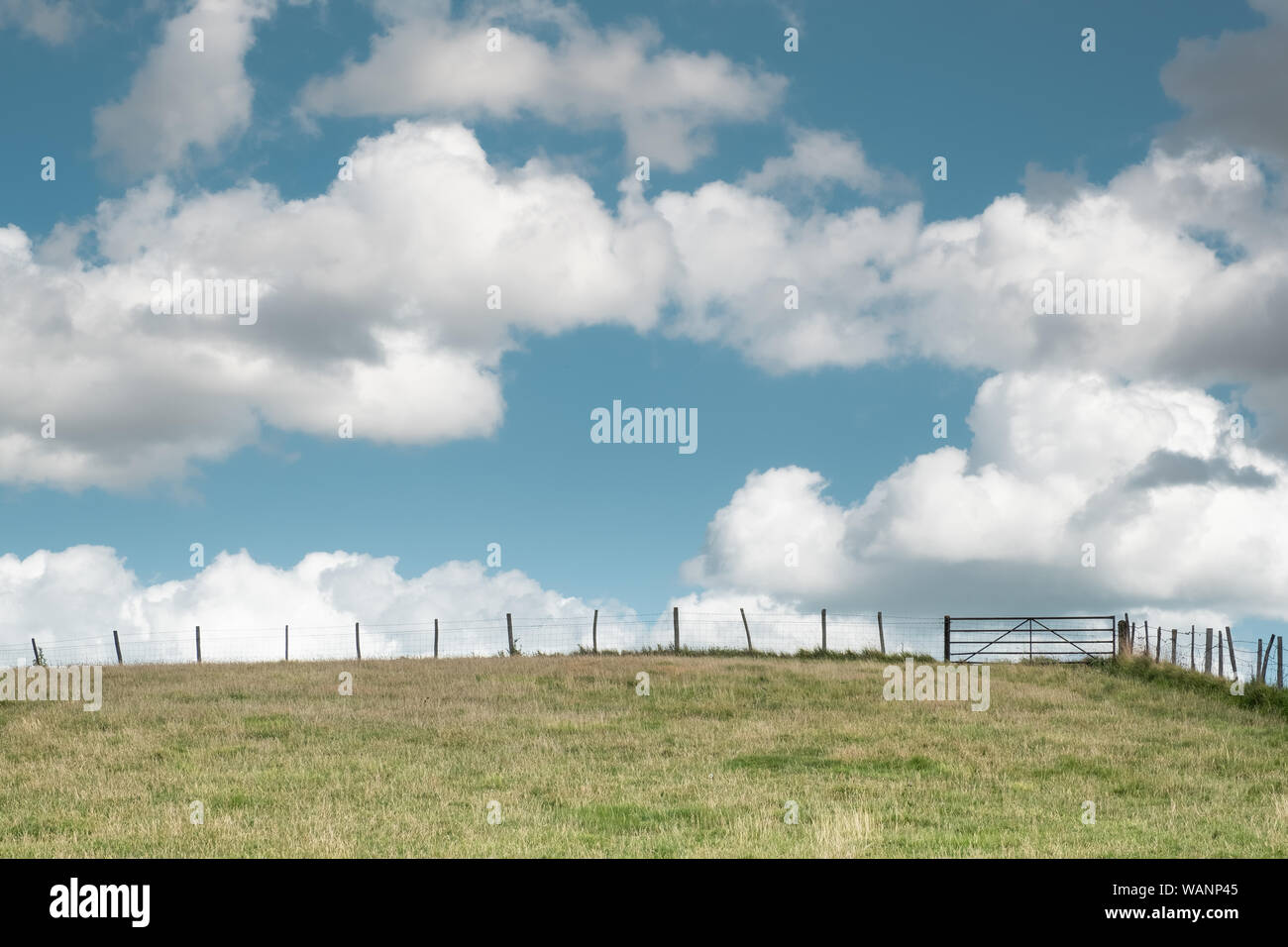 Grüne Wiese, Feld, mit Tor, Zaun & Blue Sky/Weiß Cloud Stockfoto