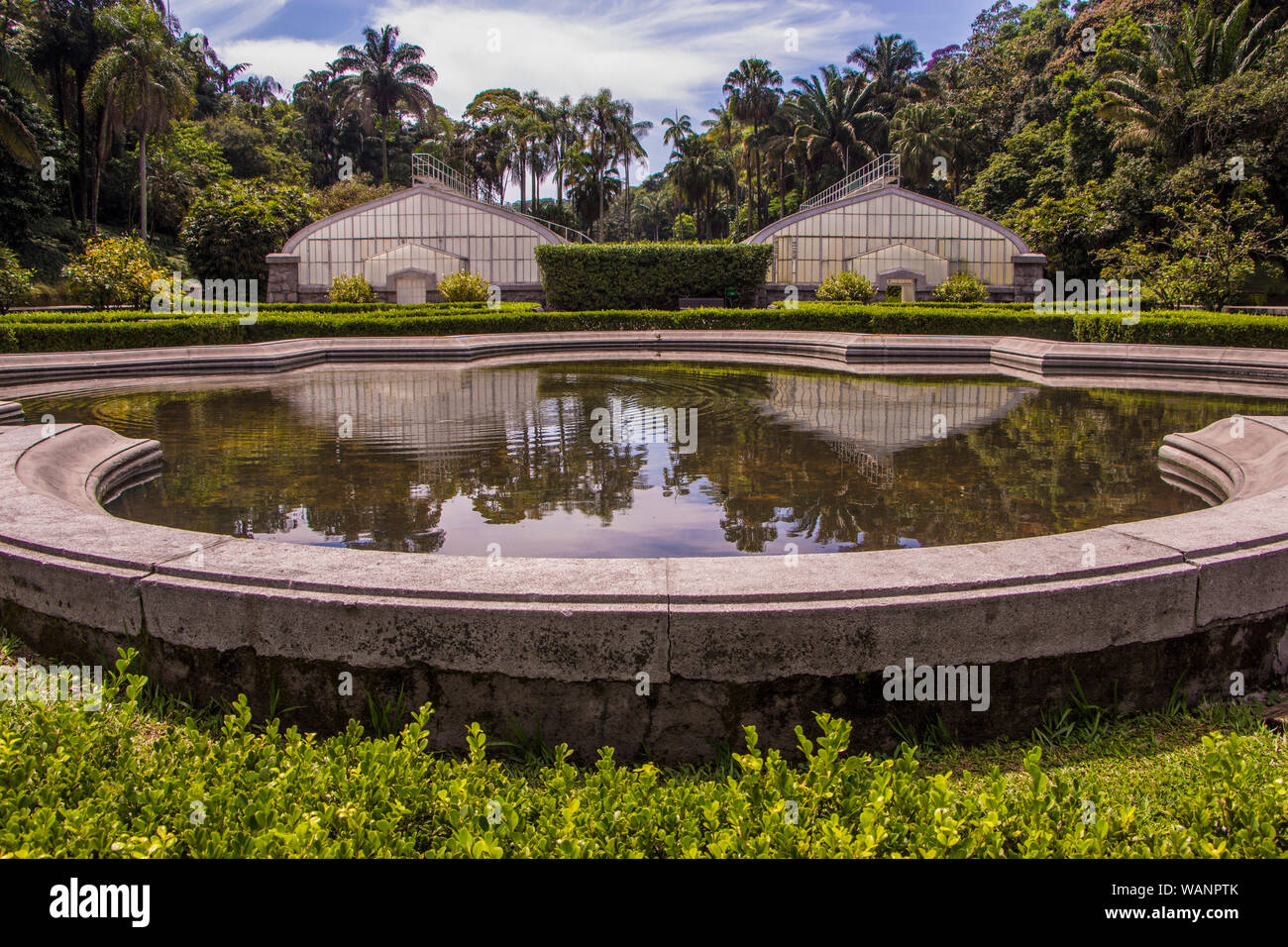 Botanischer Garten, São Paulo, Brasilien Stockfoto