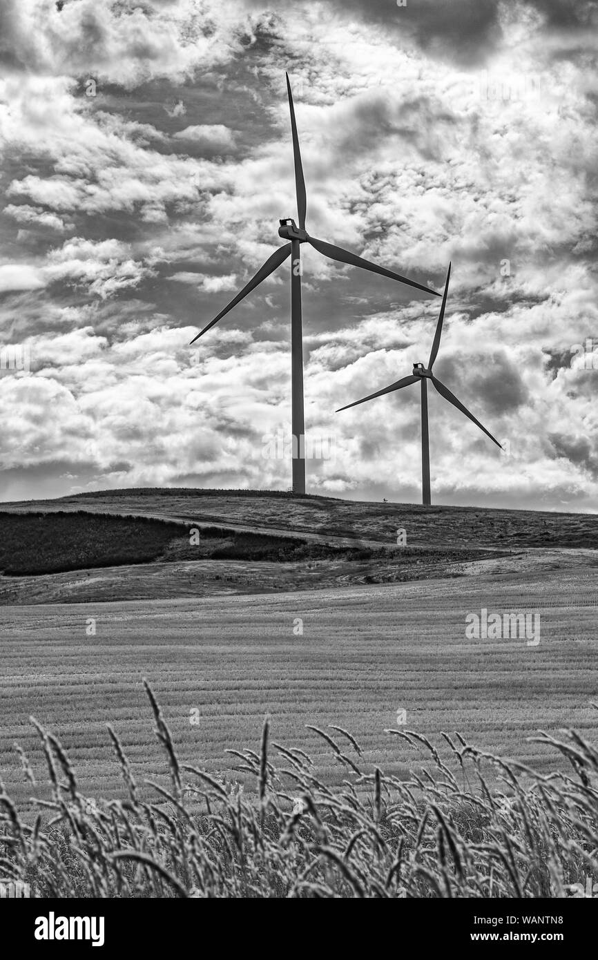 Washington, Palouse Region, Windkraftanlagen, Weizenfeld Herbst nach der Ernte, Monochrom Stockfoto