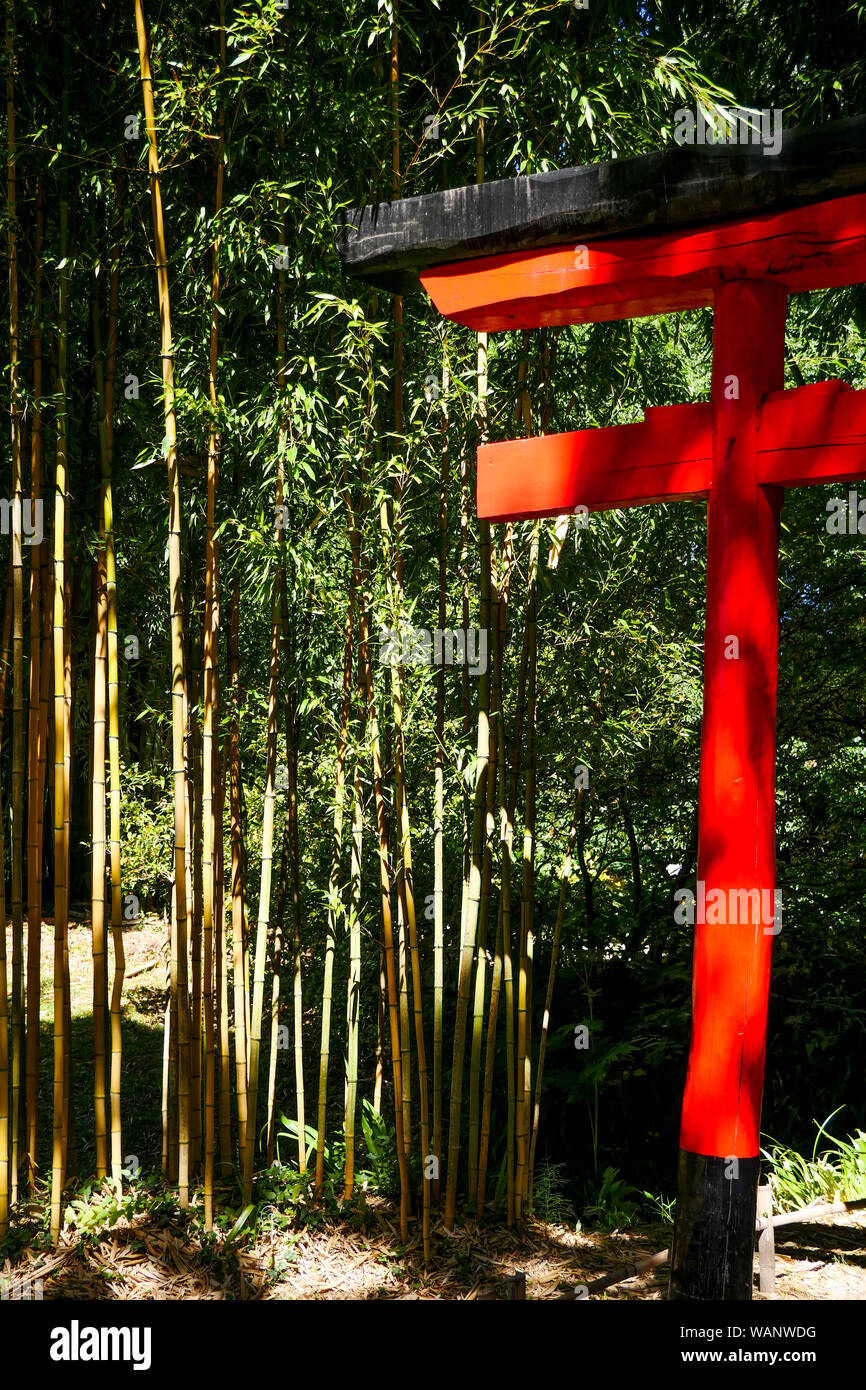 Rote Torii und Bambus Wald, La Bambouseraie - Bambus Park, Prafrance,  Anduze, Gard, Frankreich Stockfotografie - Alamy
