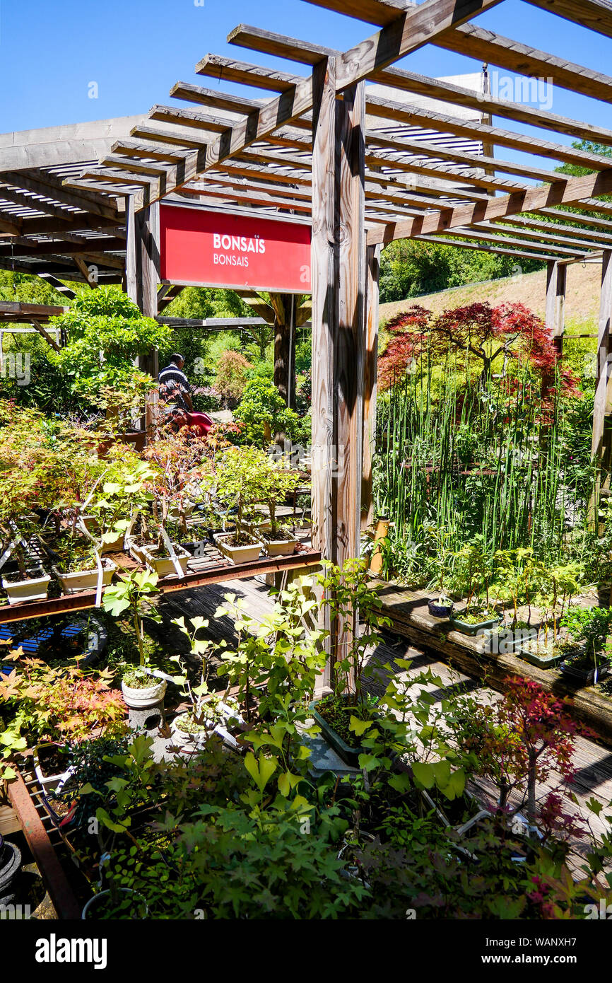 Bonsai Garten Center, La Bambouseraie - Bambus Park, Anduze, Gard,  Frankreich Stockfotografie - Alamy