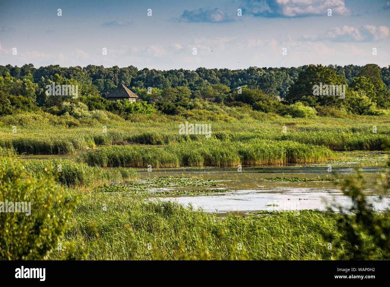 Bird Observatory im Naturpark Lonjsko Polje, Kroatien Stockfoto