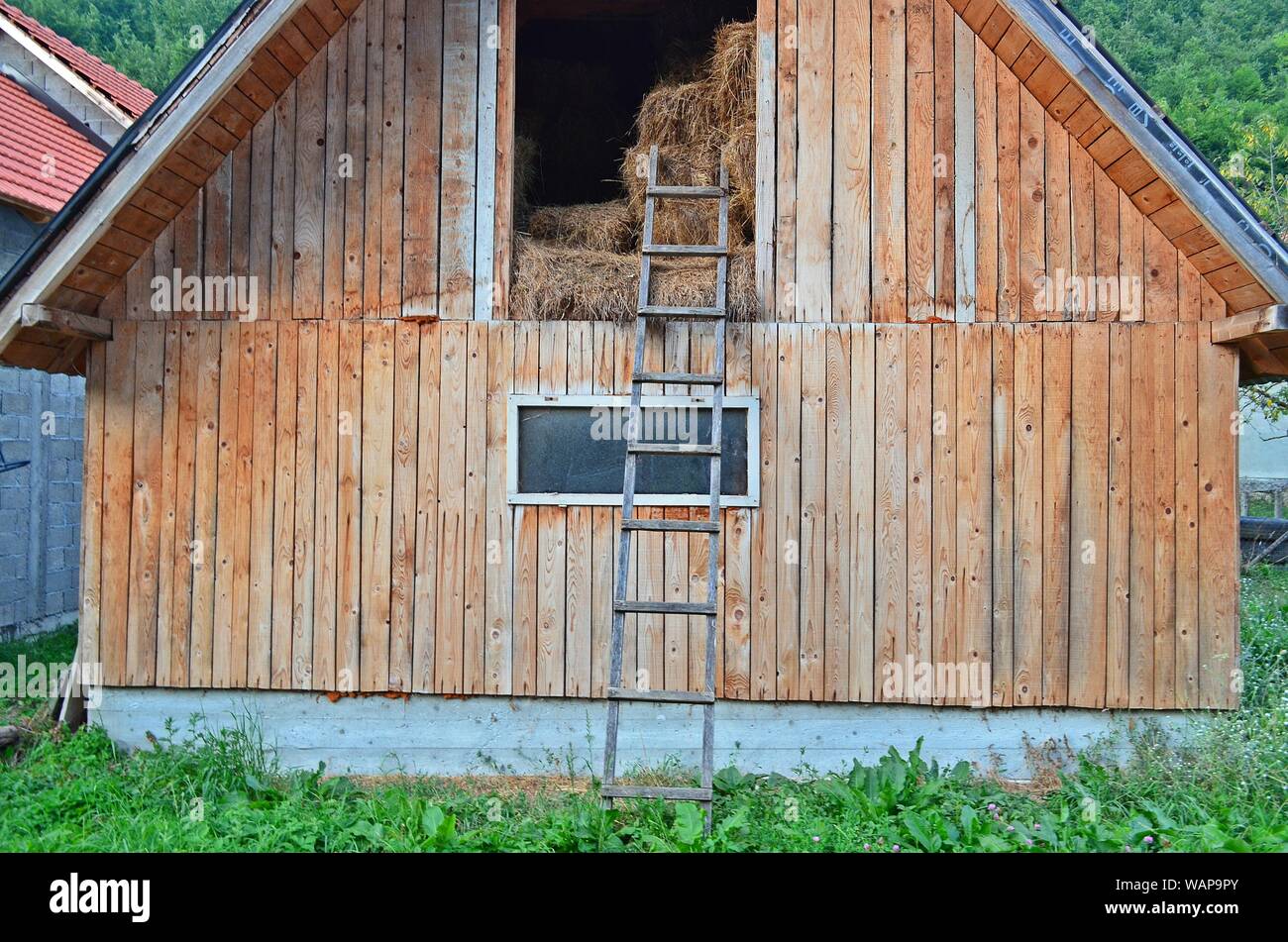 Eine Holzscheune aus Bergdorf mit Heuballen im Inneren, eine Leiter vor und Wald im Hintergrund Stockfoto