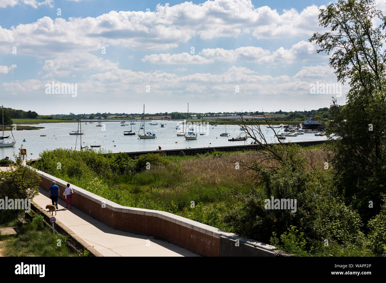 Blick auf den Fluss Deben in Woodbridge, Suffolk. Der Fluss ist bei Flut mit einer Vielzahl von Booten in den Fluss günstig Stockfoto