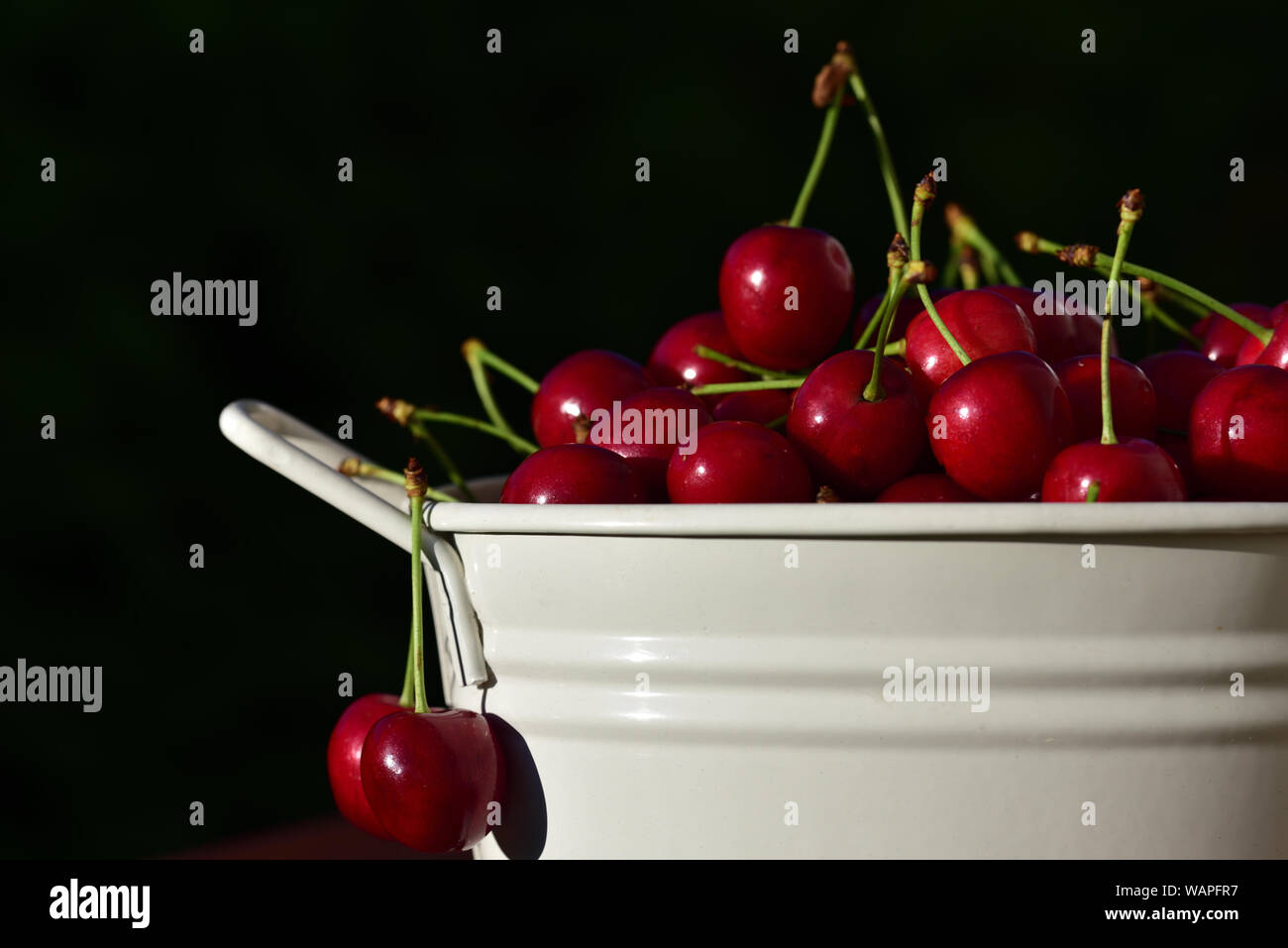 Frische Kirschen in weisser Schüssel vor dunklem Hintergrund mit Text Feld Stockfoto