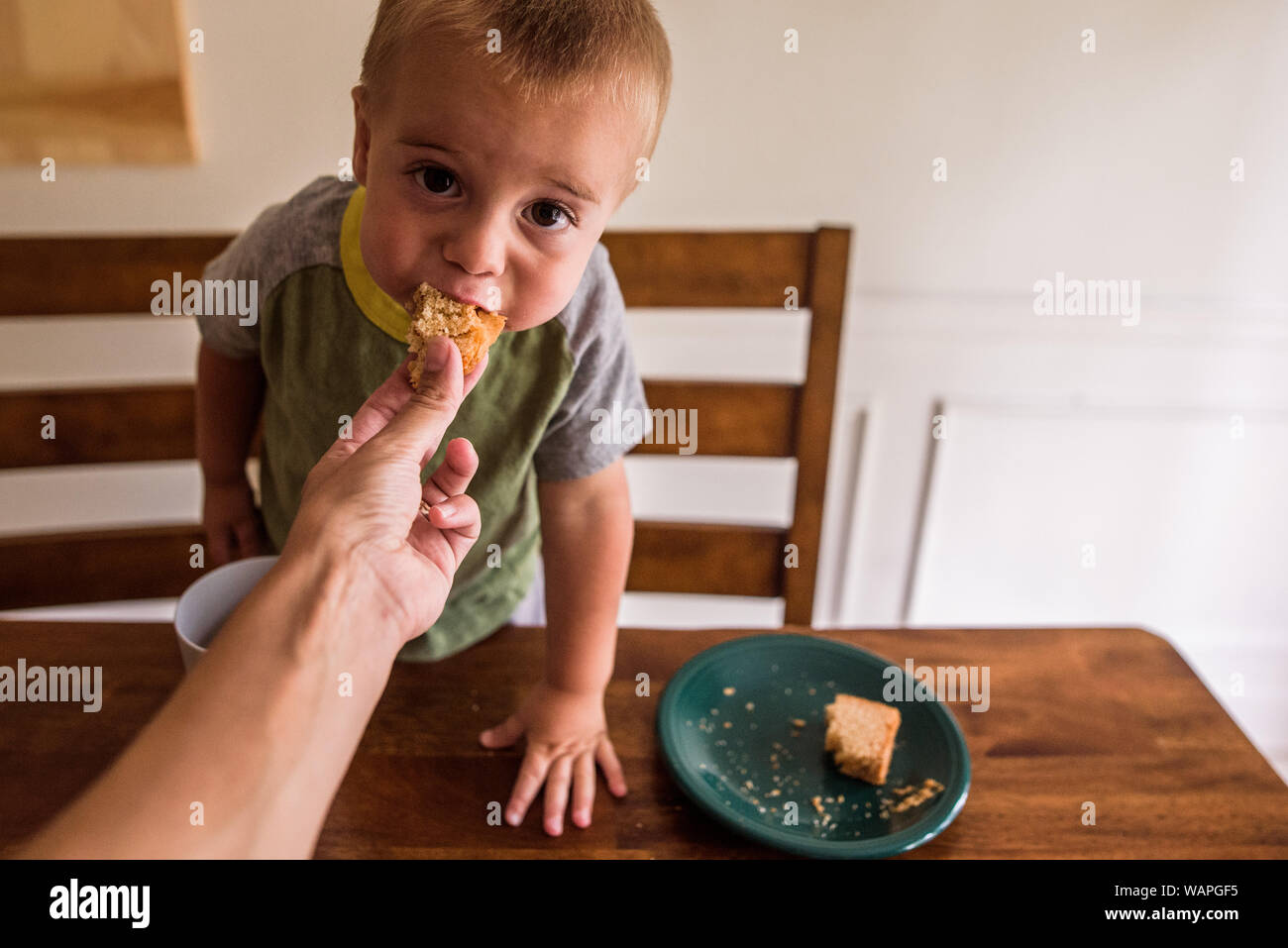 Kleinkind auf Kamera, Bissen von einem Sandwich, die ihm zugeführt wird Stockfoto