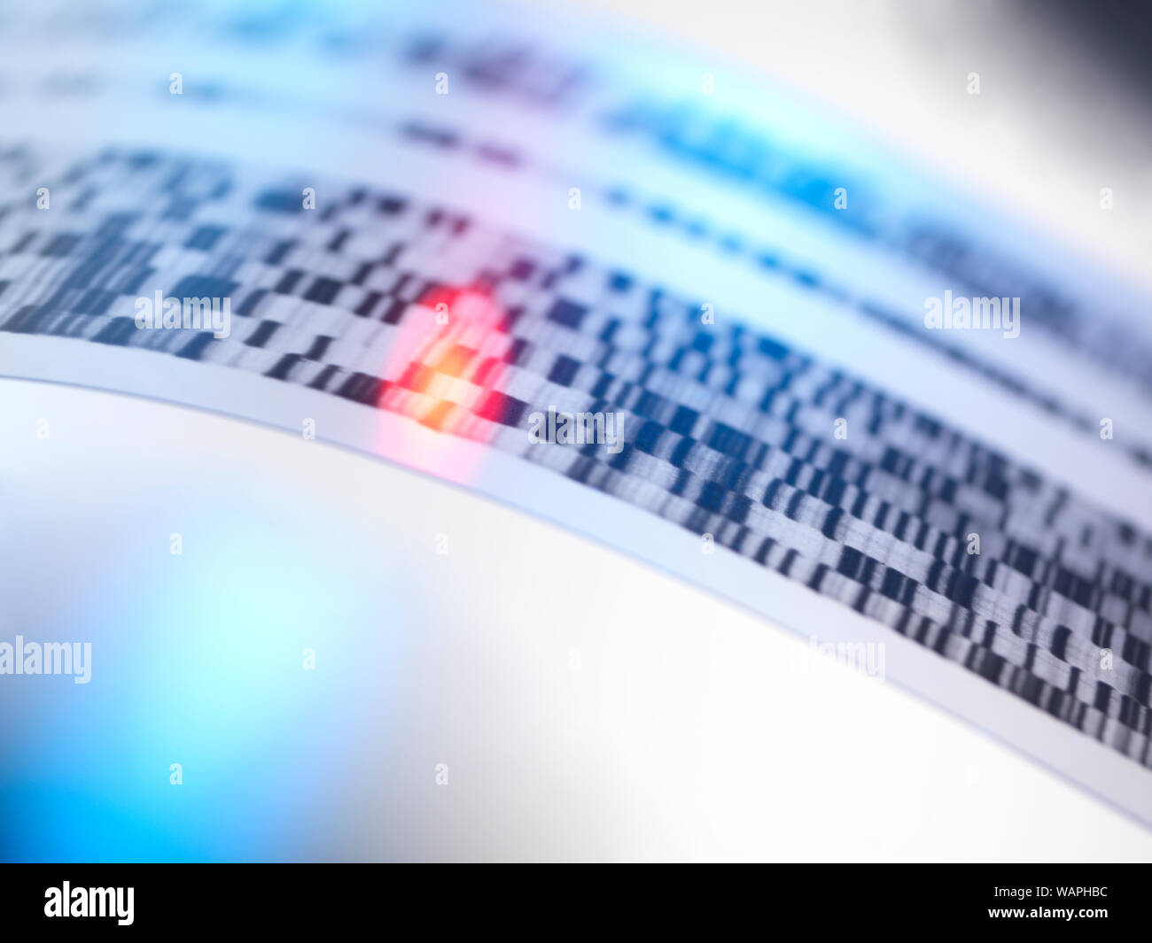 DNA autoradiogram auf weißem Hintergrund. DNA-Code markiert Stockfoto