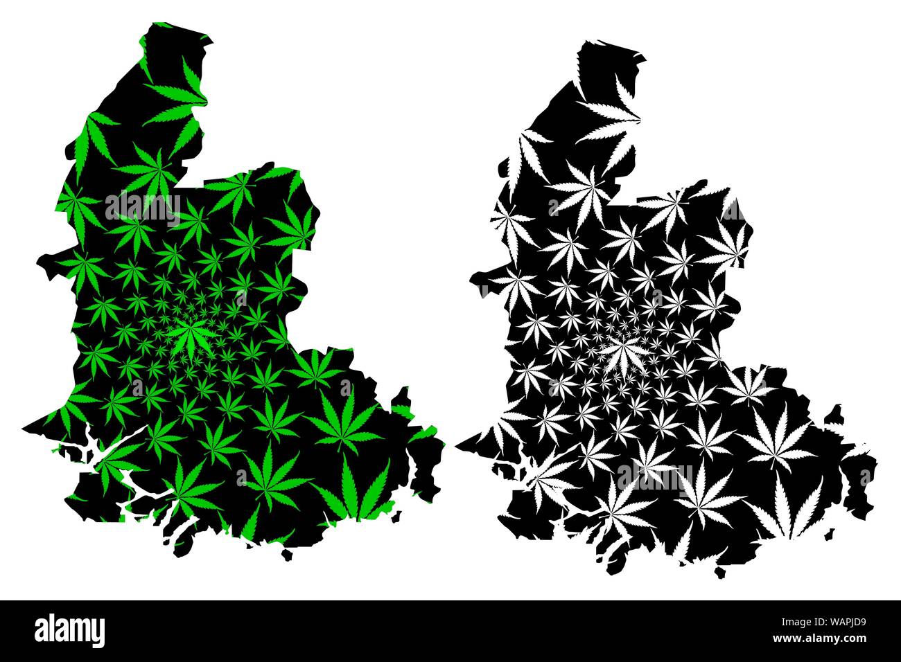 Vest-Agder (administrative divisions von Norwegen, Königreich Norwegen) Karte ist Cannabis blatt grün und schwarz, Nord-Norwegen Karte aus marijua konzipiert Stock Vektor