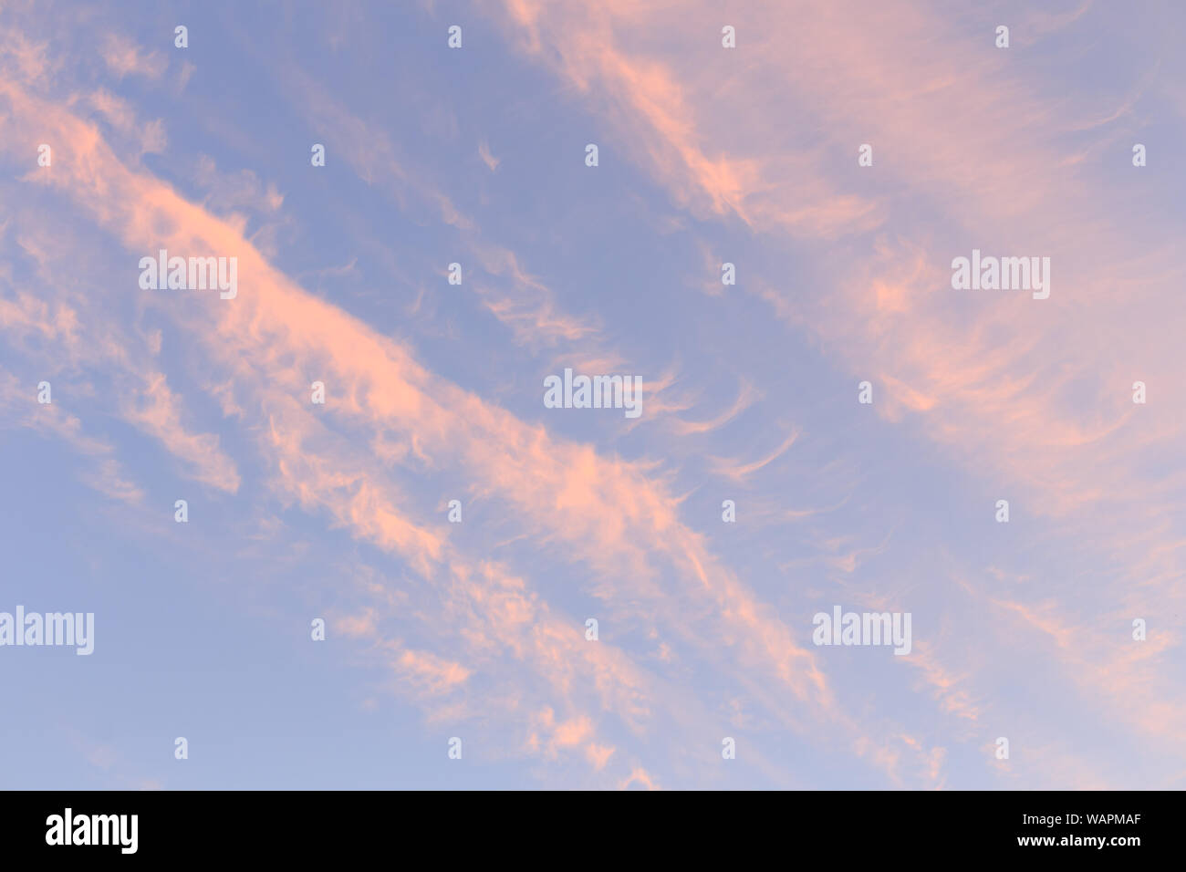Blauer Himmel und rosa Wolken bei Sonnenuntergang Stockfoto