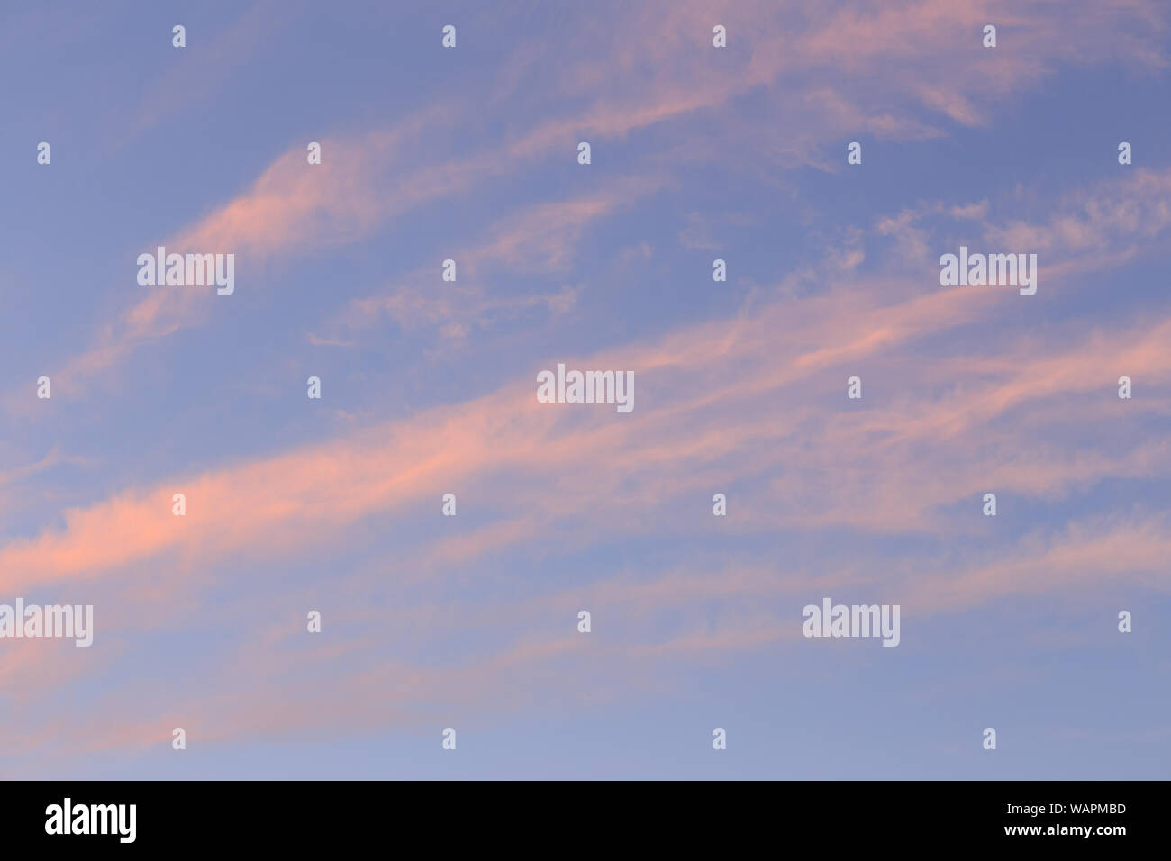 Blauer Himmel und rosa Wolken bei Sonnenuntergang Stockfoto
