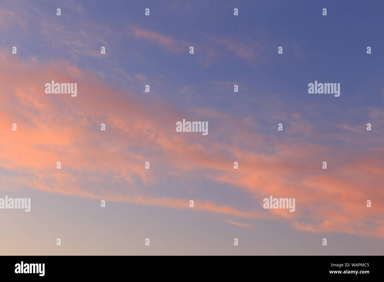 Blauer Himmel und rosa Wolken bei Sonnenuntergang Stockfoto