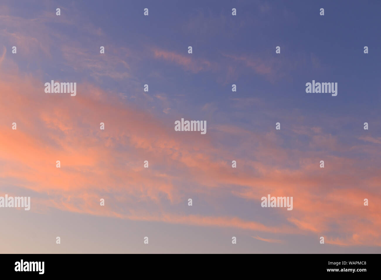 Blauer Himmel und rosa Wolken bei Sonnenuntergang Stockfoto
