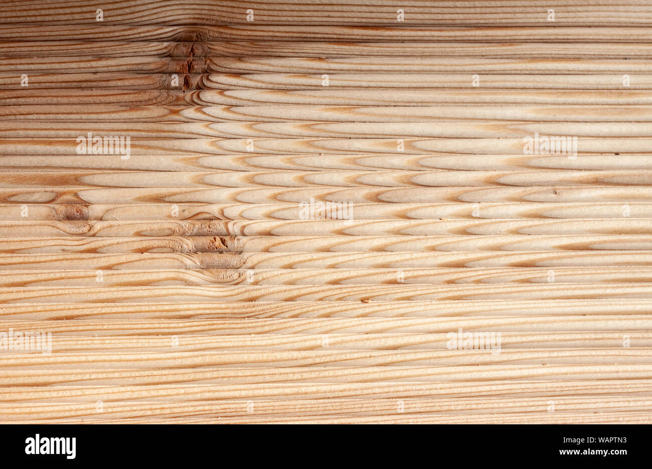 Holzbrett aus sibirischer lärche Hintergrund Stockfoto