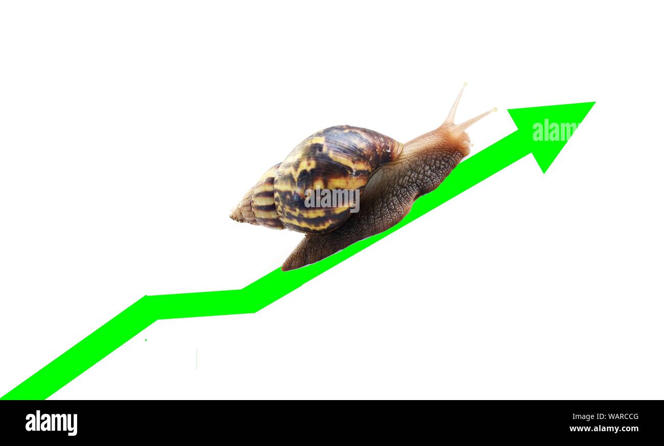 Schnecke reisen entlang der Grünen Linie der Währung Chart auf weißem Hintergrund, Sieg und Erfolg von Geduld, langsames Wirtschaftswachstum Stockfoto