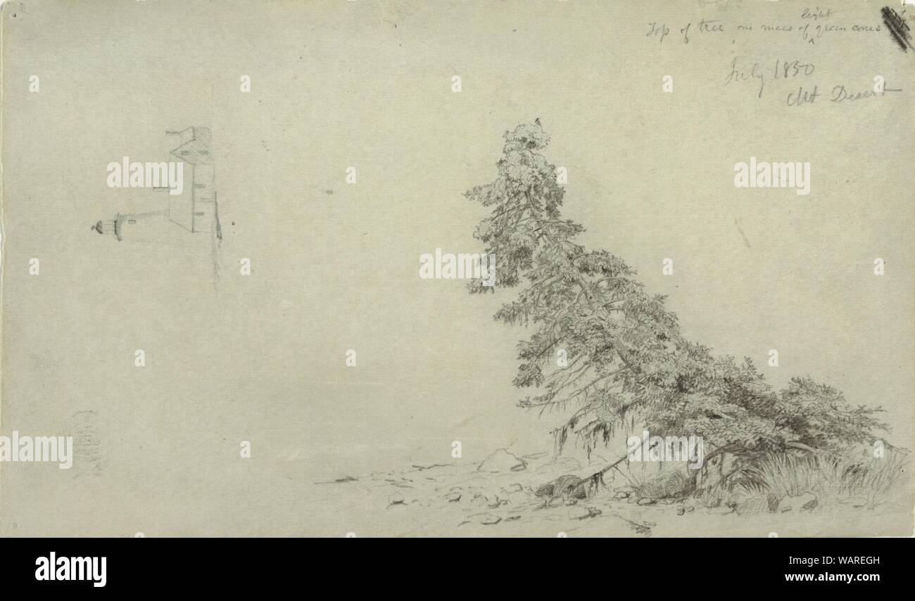 Zeichnung, immergrüner Baum in der Nähe des Ufers mit einem Detail der Leuchtturm und ein Haus, Mount Desert, Maine, Juli 1850 Stockfoto