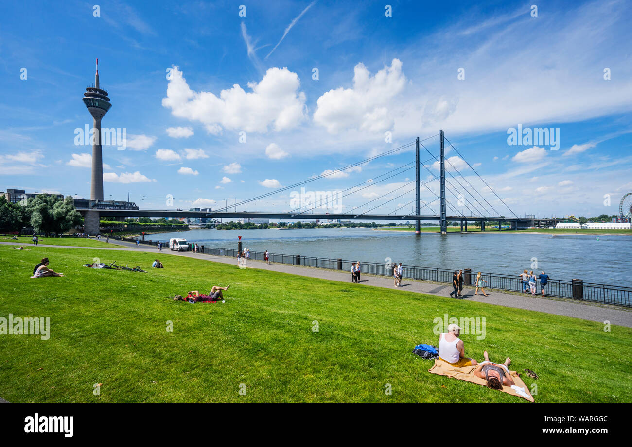 Sunseekers auf den Wiesen des Apollo Wiese am Ufer des Flusses Rhein mit Blick auf die Rheinkniebrücke und Rheinturm Fernmeldeturm. Düsseld Stockfoto