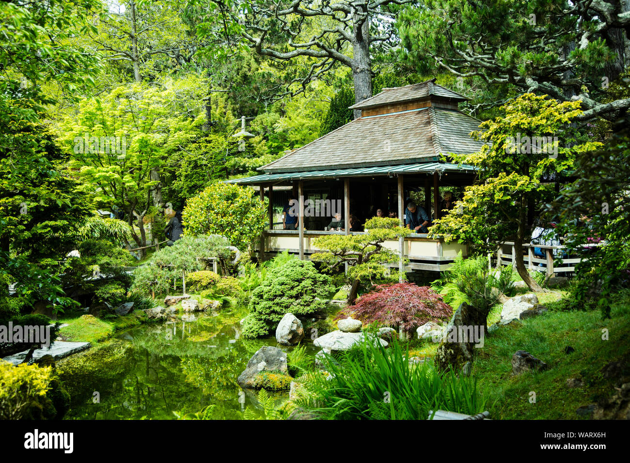 Das Teehaus im Japanischen Tee Garten, San Francisco, Kalifornien, USA Stockfoto