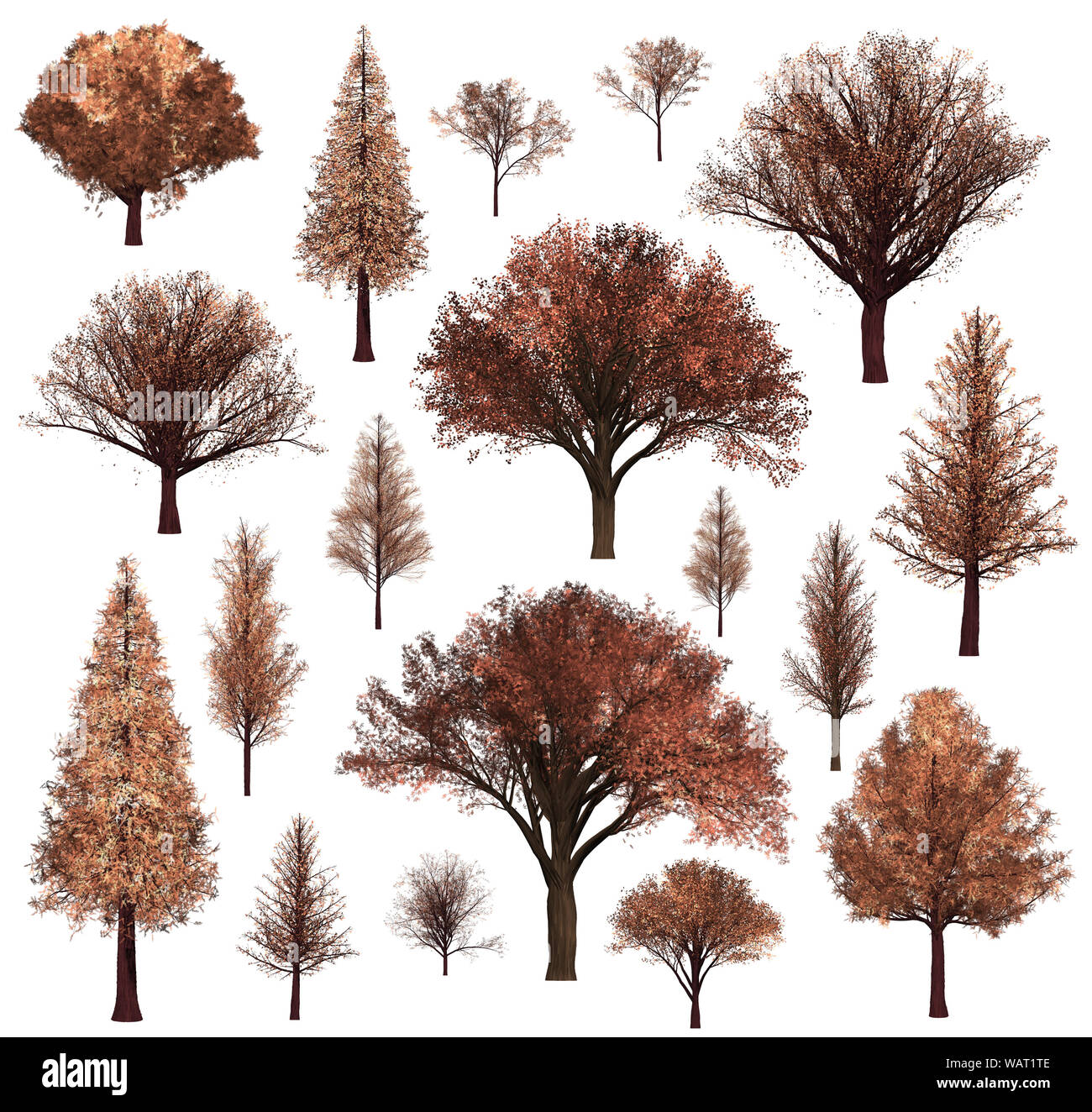 Grüne Wald Baum Hintergrund. 3D-Darstellung. Weißer Hintergrund isolieren. Natur und Gärten Design. Stockfoto