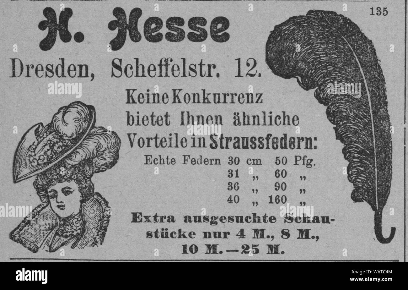 Dresdner Amtsblatt 1906 004 Hessen. Stockfoto