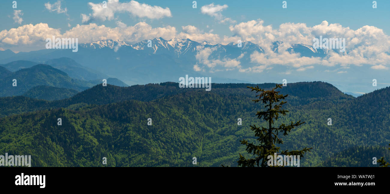 Zapadne Tatry Berge von klak Hügel in Velka Fatra Gebirge in der Slowakei im Frühling Tag mit blauem Himmel und Wolken Stockfoto