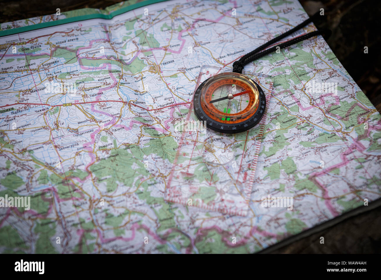 Karte und Kompass im Wald Stockfoto