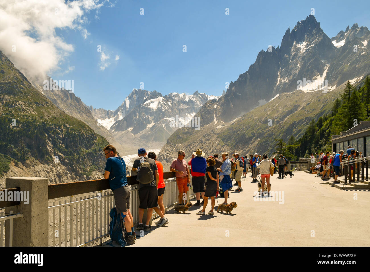 Touristen bewundern die Mer die Glace (Ice), einem Tal Gletscher des Mont Blanc Massiv in den französischen Alpen im Sommer, Montenvers, Chamonix, Frankreich Stockfoto