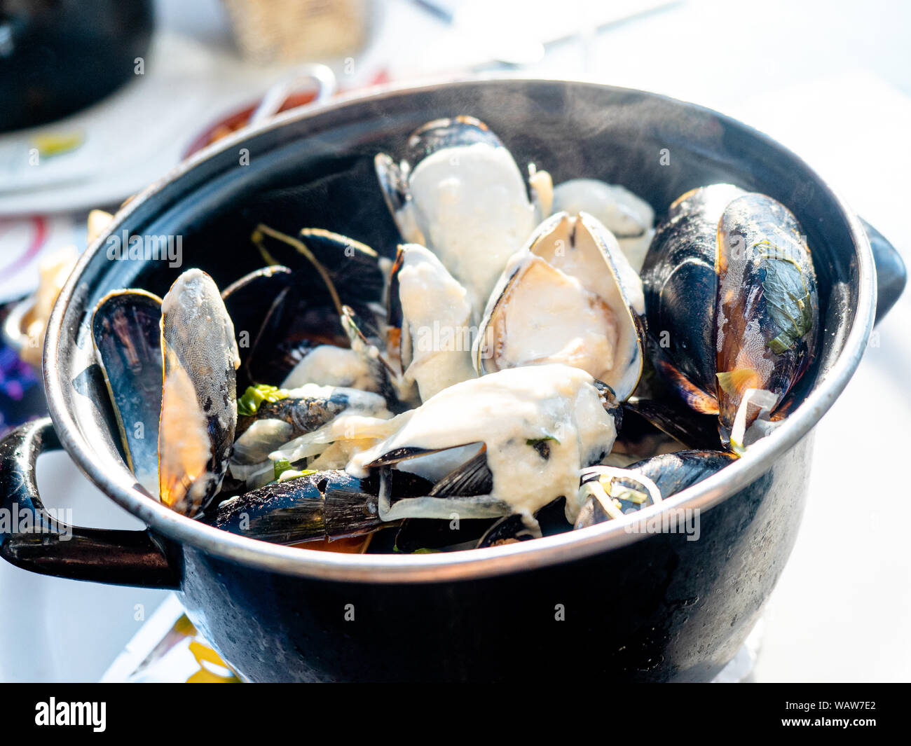 Calais, Frankreich Stockfoto