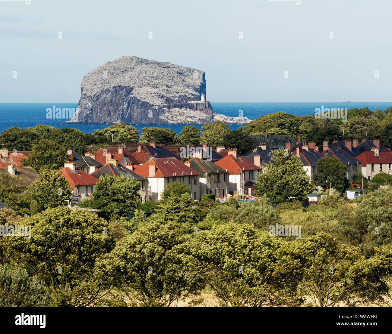 Der Bass Rock von North Berwick, East Lothian, Schottland, Großbritannien. Stockfoto