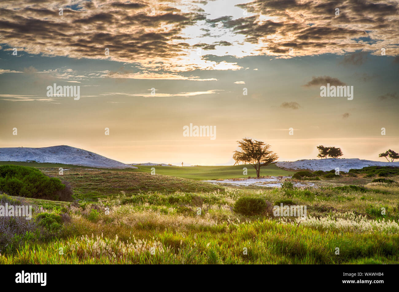 Golfplatz auf der berühmten 17 km Fahrt in der Nähe von Pebble Beach, Kalifornien. Stockfoto