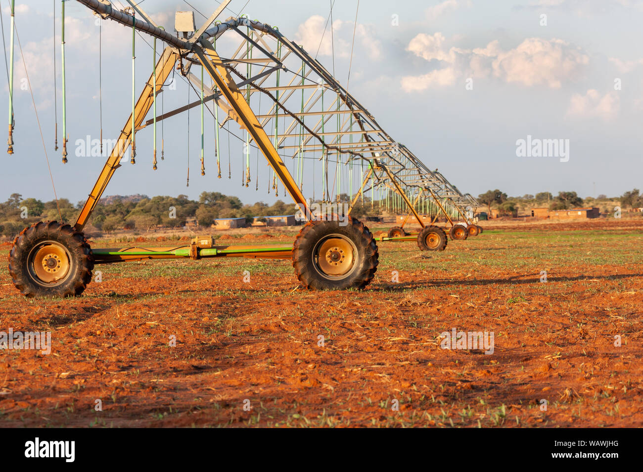 Bereich Kulturpflanzen bewässerten in Südafrika und Botswana, die industrielle Landwirtschaft Stockfoto