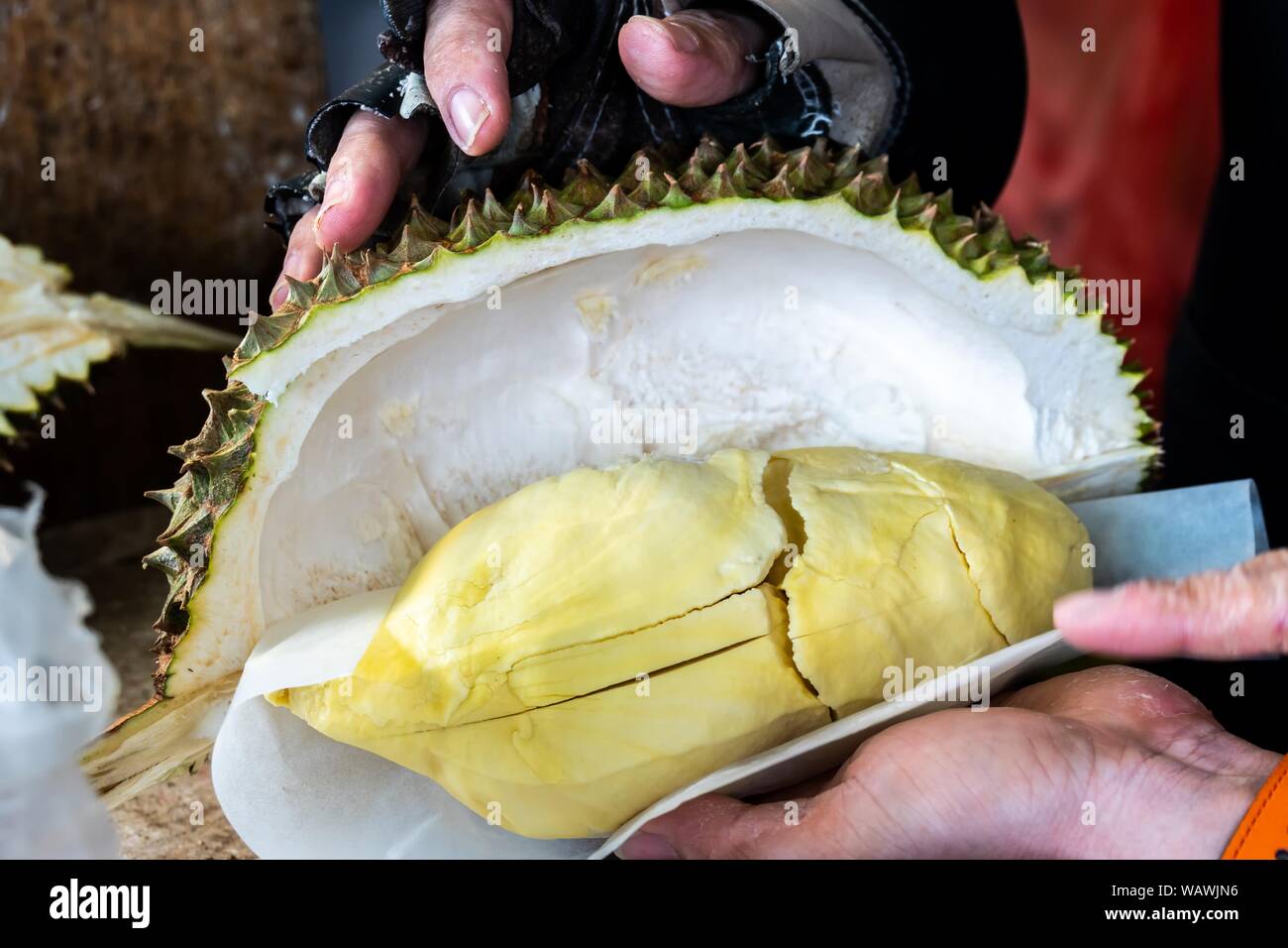 Schneiden Thailändische frische Durian und bereit zu essen. Stockfoto