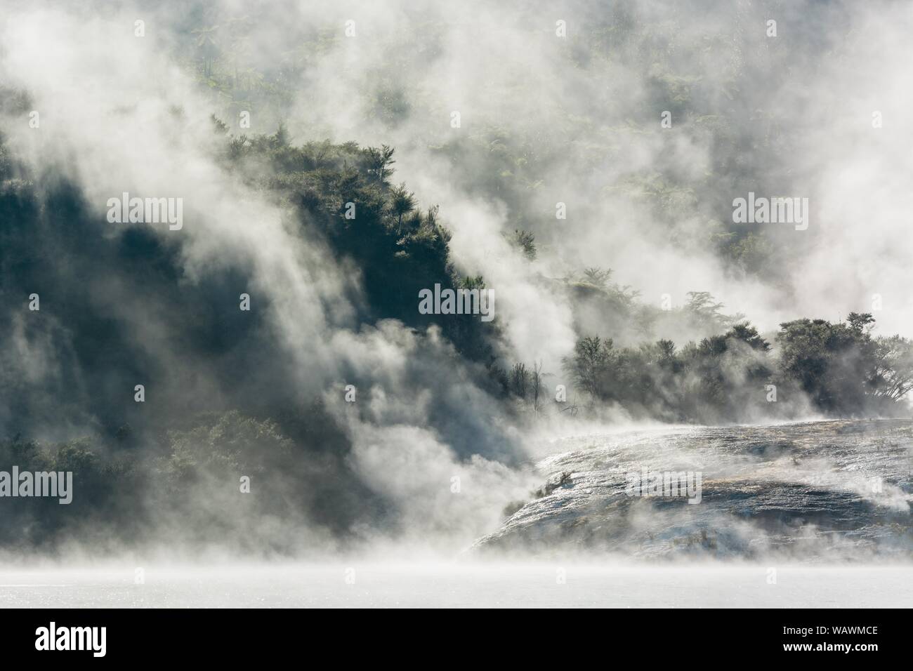 Nebel und Dampf aus heißen Quellen, Orakei Korako geothermischen Park, Geothermie, Hidden Valley, Taupo Volcanic Zone, North Island, Neuseeland Stockfoto