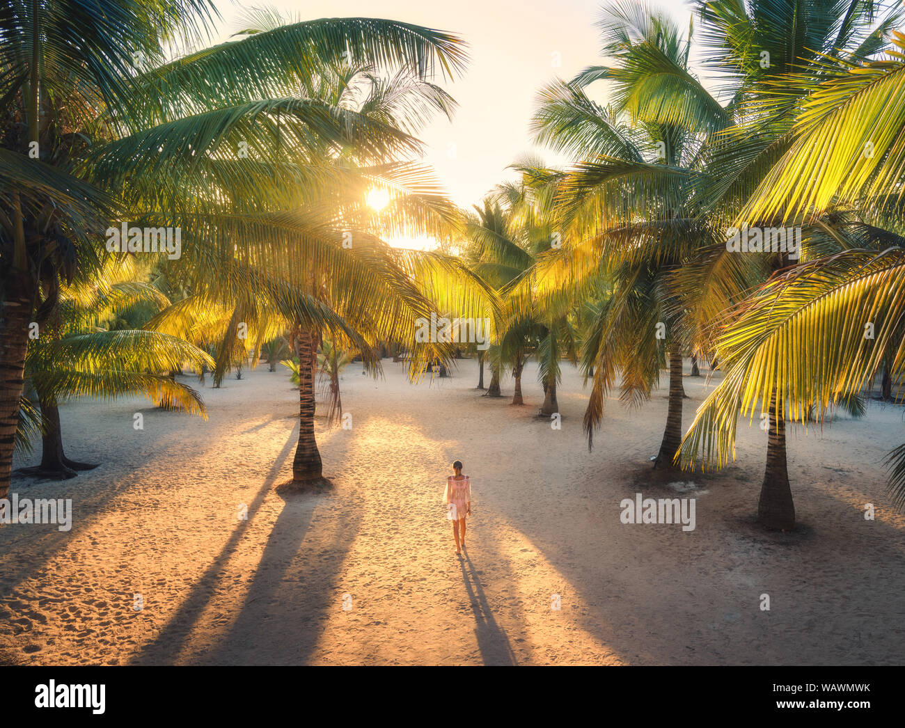 Schöne junge Frau befindet sich in der Palm Gasse bei Sonnenuntergang Stockfoto