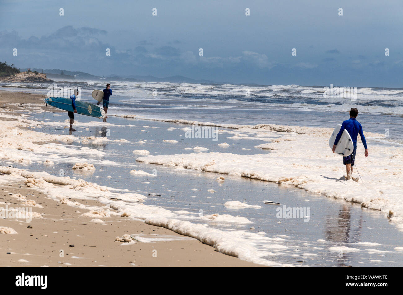 Surfer, die auf braunem Schaum unterwegs sind, der an den Stränden von Alexandra Head an der Sunshine Coast in Queensland, Australien, auftauchte. Wegen der Ungewöhnlichen Stockfoto