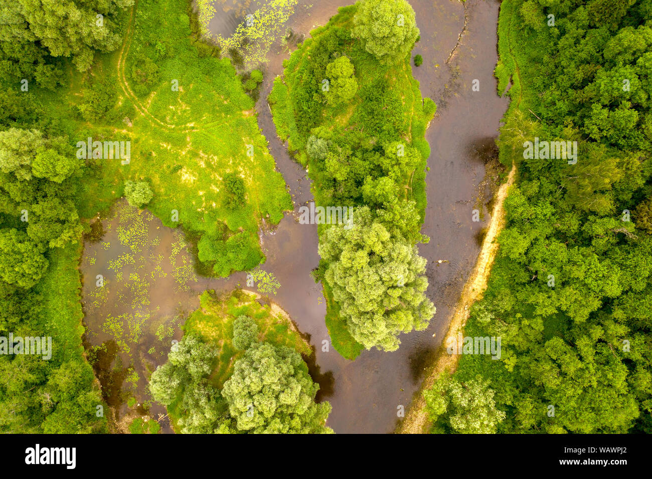 Antenne drone Blick auf den Fluss mit Schilf und Gras schneiden durch Wald überwuchert Stockfoto