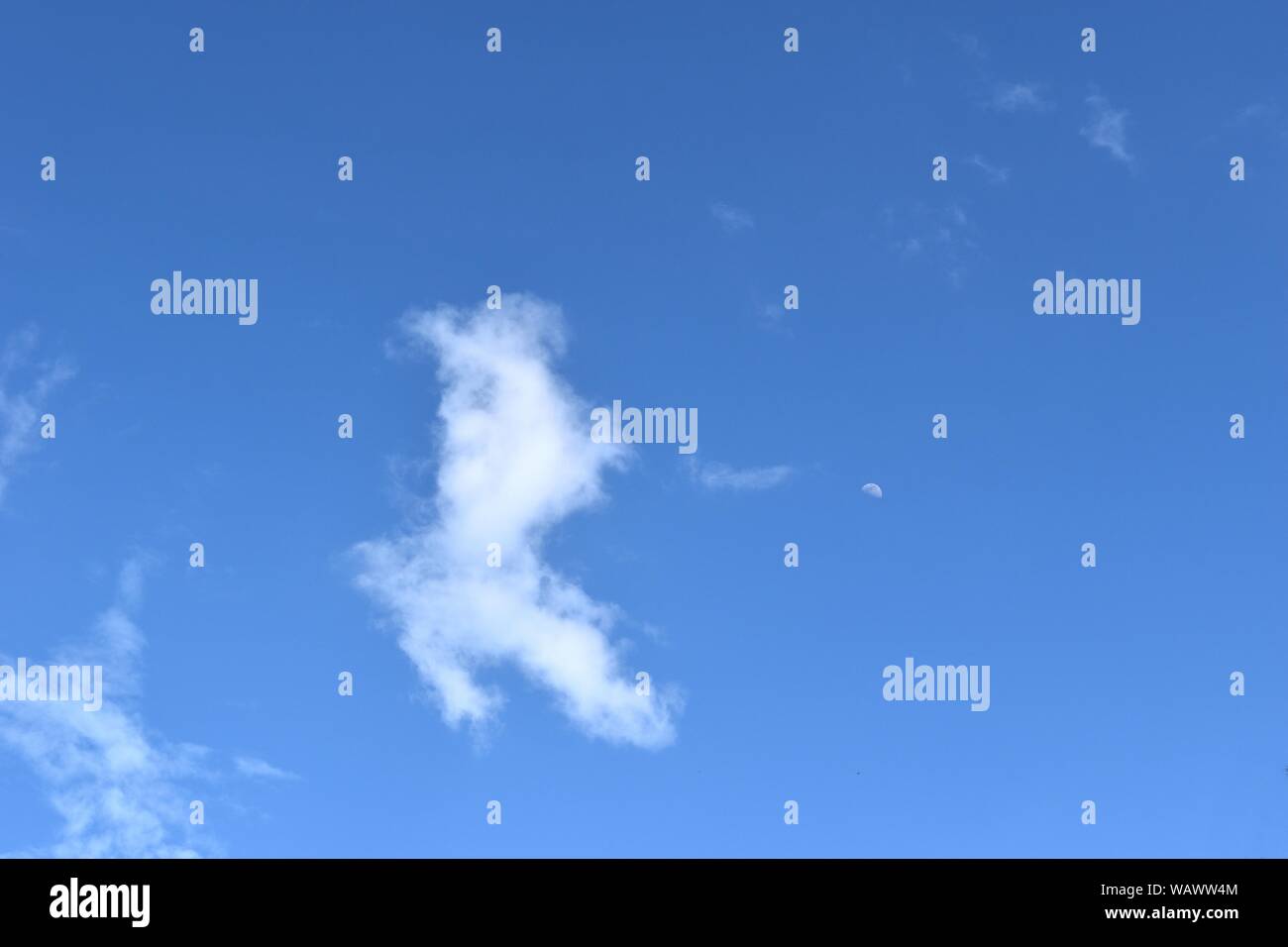 Weiße Wolke Form der Hund steht mit beiden Hinterbeinen auf blauen Himmel Stockfoto