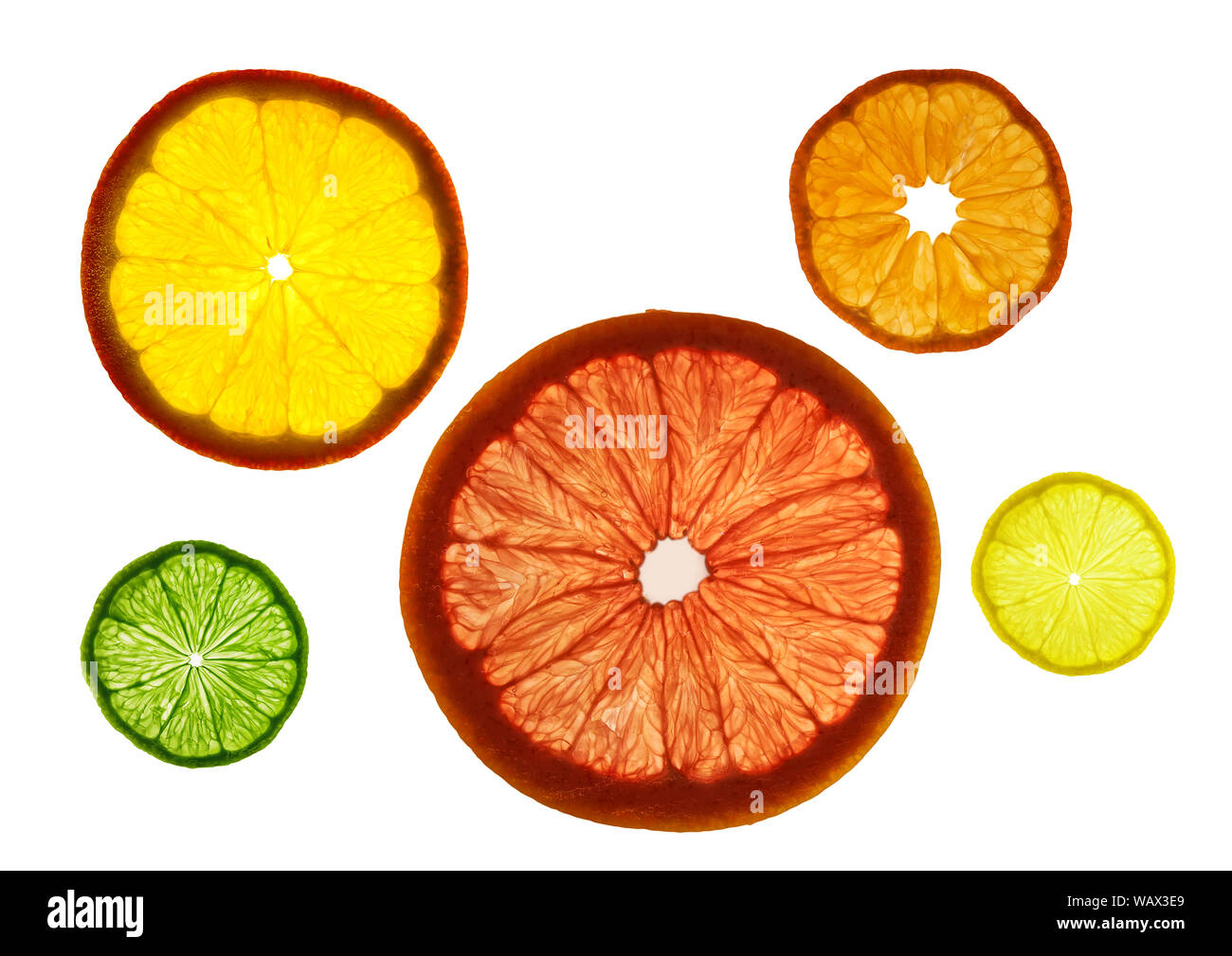 Transparenz in Scheiben geschnittenen bunten Früchte auf weißem Hintergrund. Ringe von Grapefruit, Zitrone, Mandarine und Orange Stockfoto