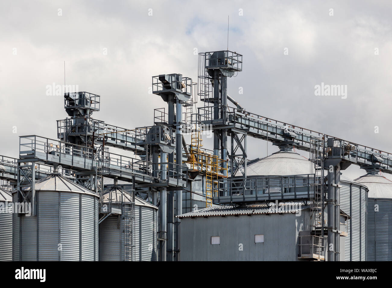 Metall Getreidesilos mit Aufzug clonstructions beladen an trübe Tageslicht Stockfoto