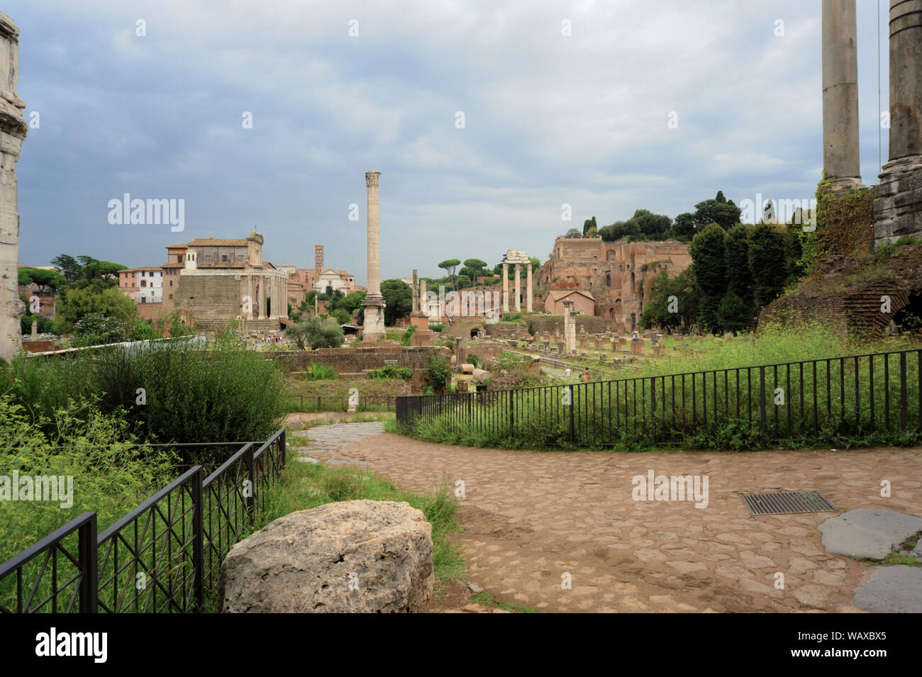 Forum Romanum, Blick nach Süden. Palatin Hügel auf der rechten Seite Stockfoto