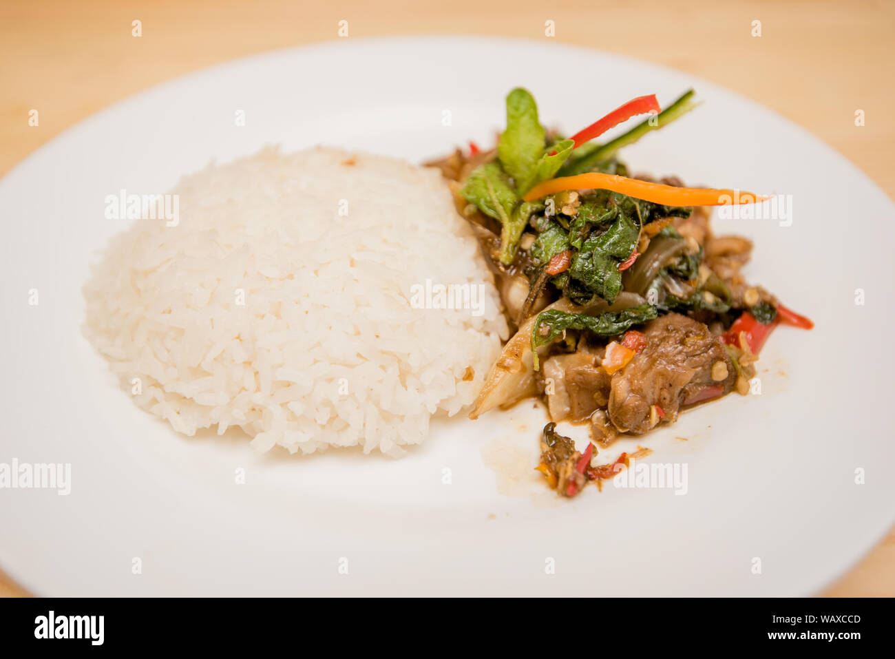 Gebratenen Fleisch und Basilikum mit Reis, Thai Food Stockfoto