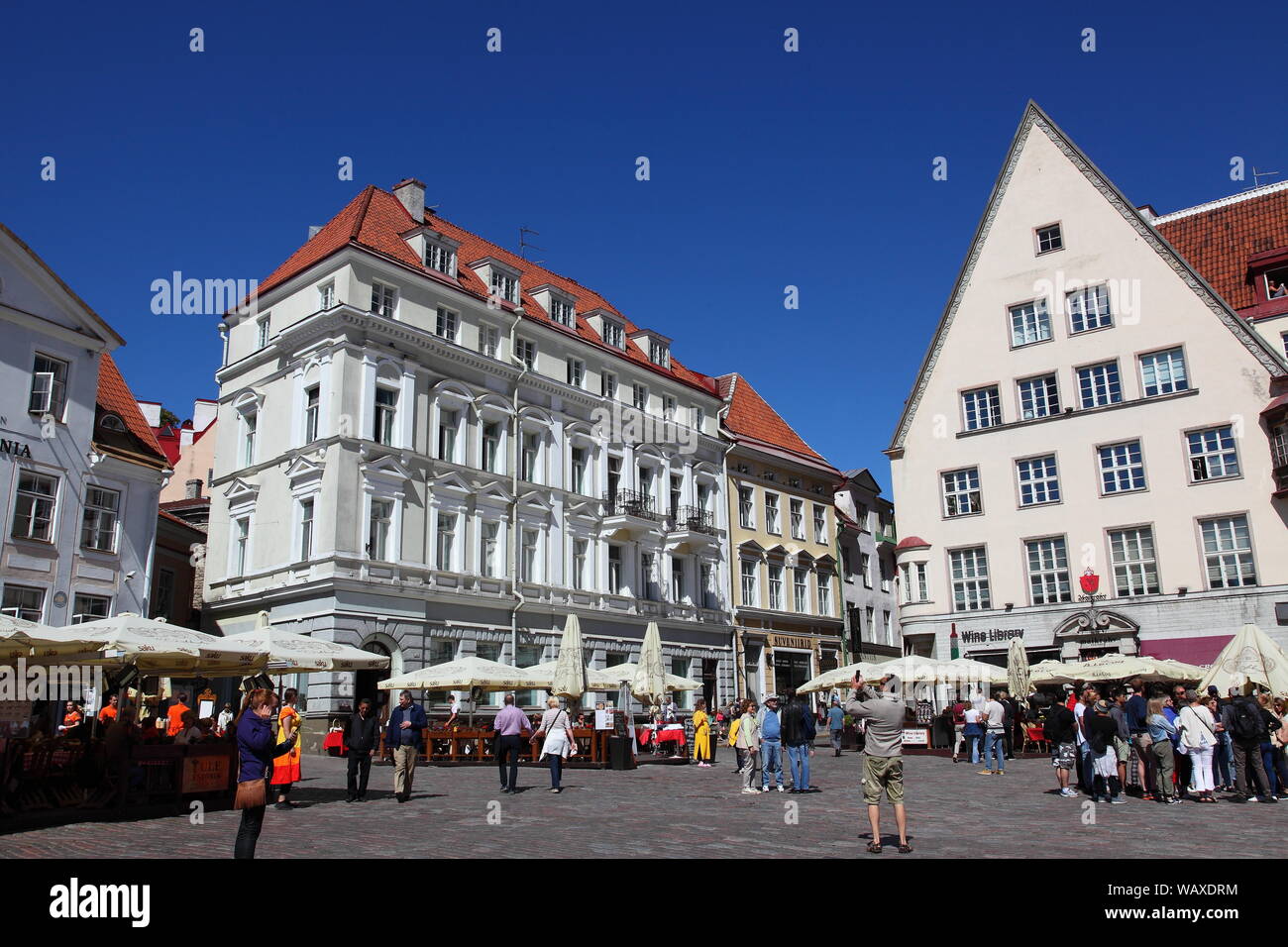 Pastellfarbenen Gebäuden aus dem 15. bis 17. Jahrhundert in Town Hall Square, Tallinn, Estland Stockfoto