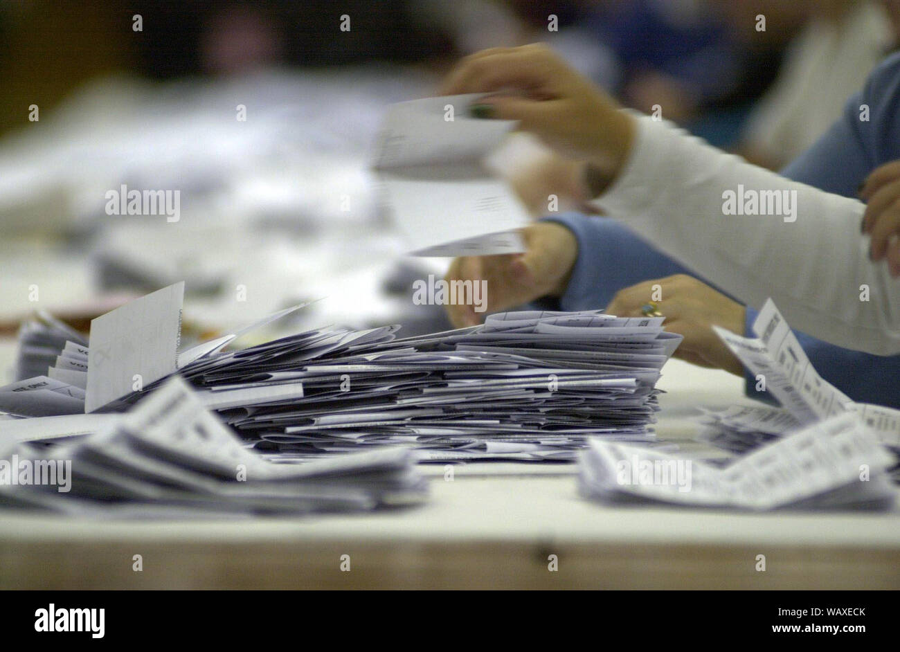 Die stimmzettel sind an der Tweeddale, Ettrick und Lauderdale in Galashiels gezählt auf 7-8/6/01. Stockfoto