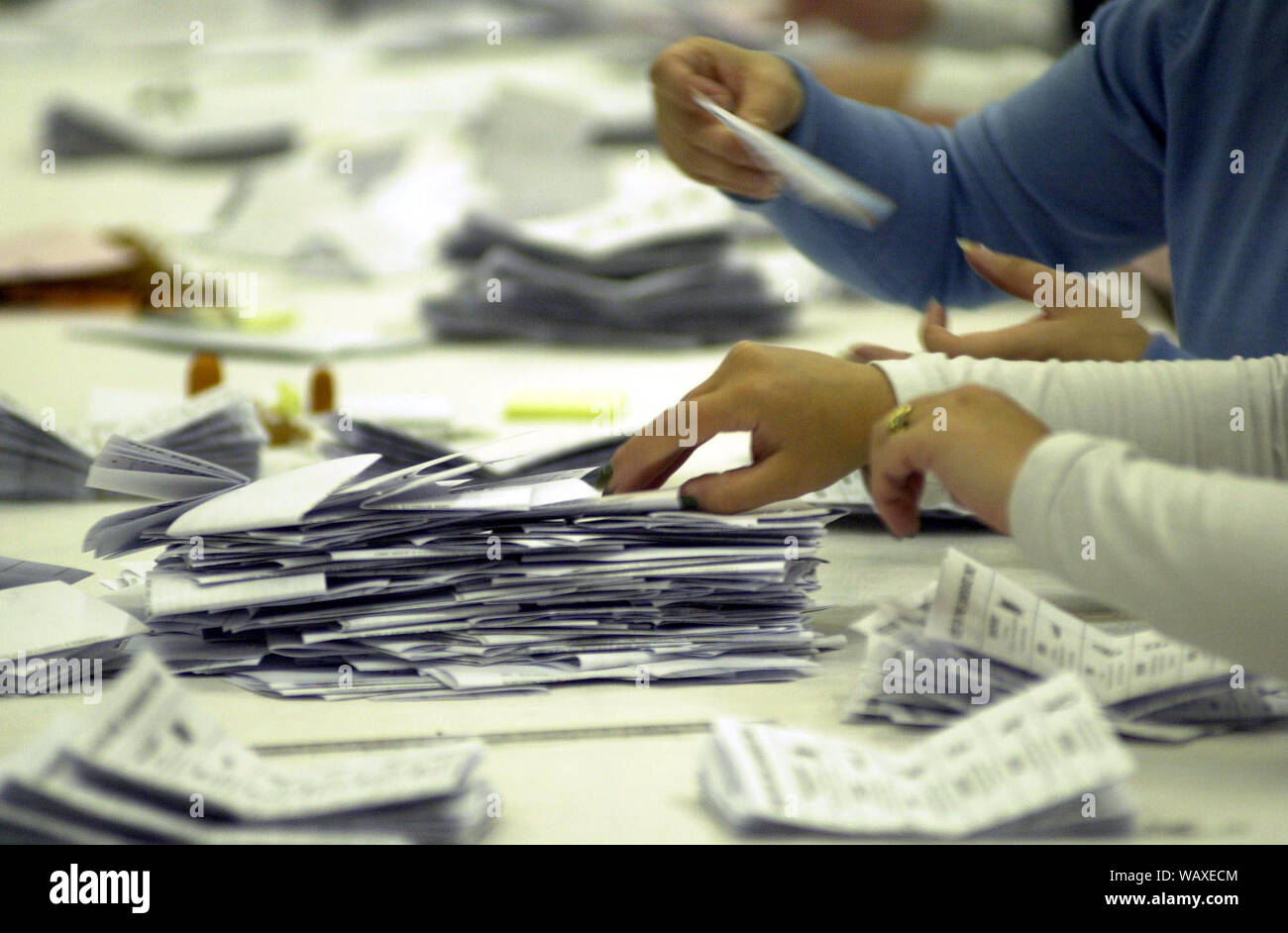 Die stimmzettel sind an der Tweeddale, Ettrick und Lauderdale in Galashiels gezählt auf 7-8/6/01. Stockfoto