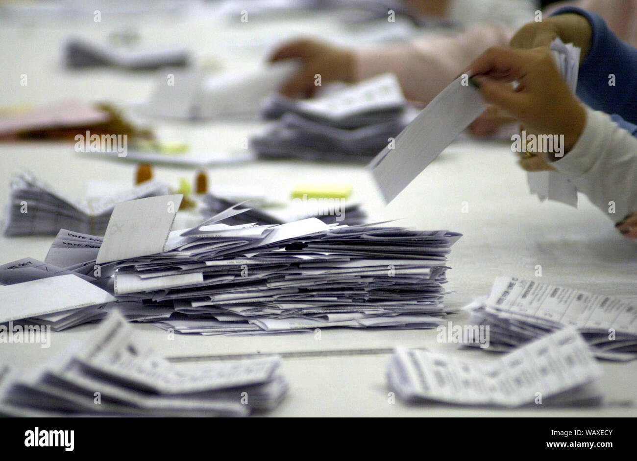 Die stimmzettel sind an der Tweeddale, Ettrick und Lauderdale in Galashiels gezählt auf 7-8/6/01. Stockfoto